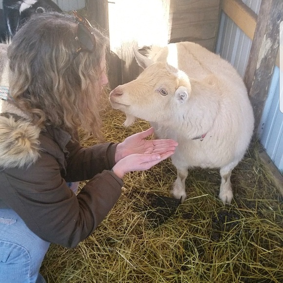 Meet your Posher, Joy - Picture 4 of 6